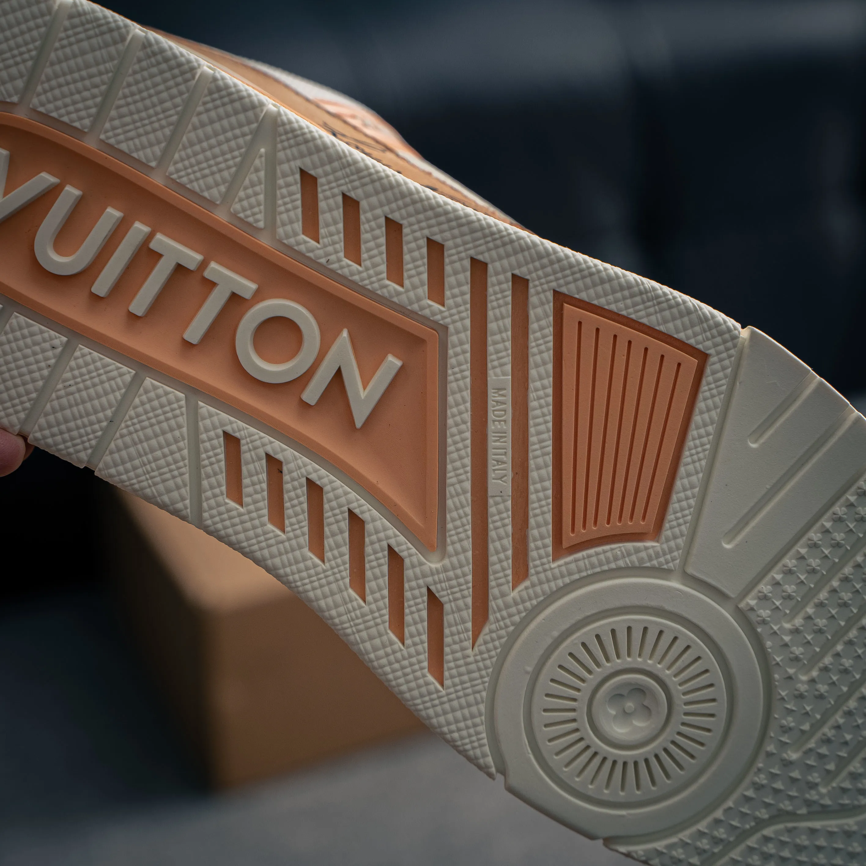 Louis Vuitton Trainer lv Sneakers Shoes Shoes